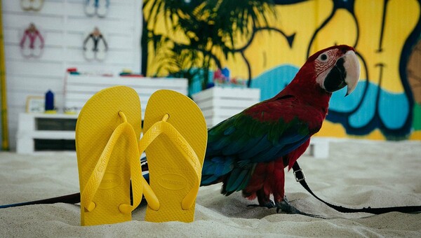 Ταξιδέψαμε στη "Βραζιλία" με τη νέα συλλογή Havaianas
