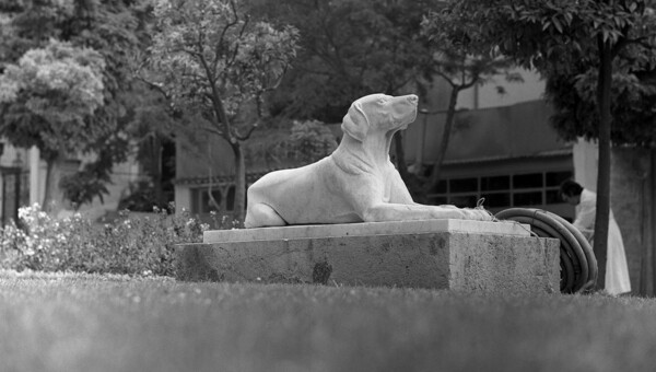 Η Ελλάδα του Nick DeWolf που δύσκολα αναγνωρίζουμε σήμερα (1959)