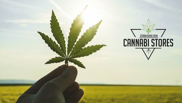 Τα Cannabi Stores ήρθαν για να μας προσφέρουν τα οφέλη ενός ξεχωριστού φυτού