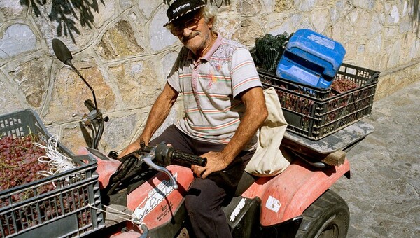 Αταραξία: Το project που εξυμνεί την καλοκαιρινή ραστώνη έρχεται στη γκαλερί Siilk