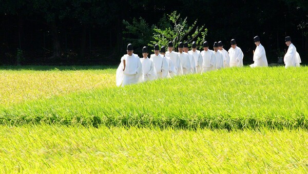 Οι 4 ιερές εποχές στον γαλήνιο σιντοϊστικό «Ναό με την αιώνια Νεότητα»