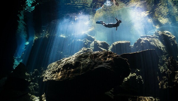 14 βραβευμένες φωτογραφίες του κόσμου κάτω απ' το νερό