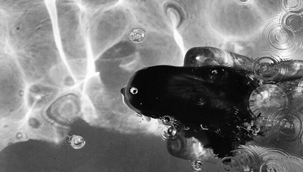 Στην πισίνα (ΝSFW)