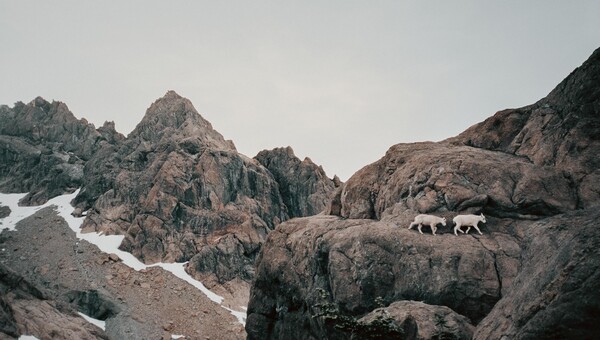 Ένας Αμερικανός φωτογράφος απαθανατίζει τη γη χωρίς τους ανθρώπους της