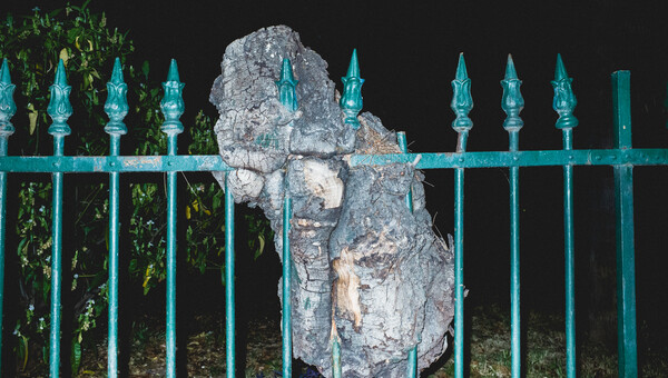 Το "Πολυσύμπαν" της Elizabeth Rovit