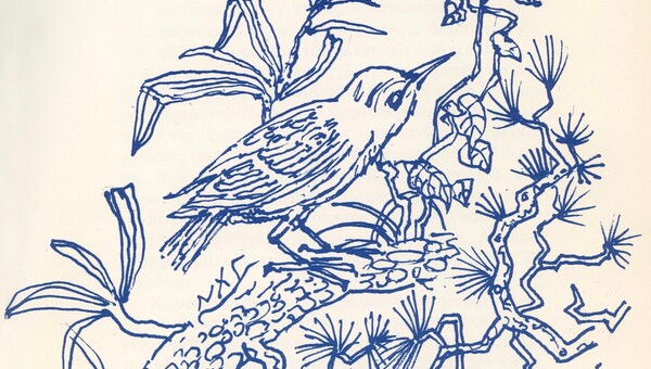 Οι έξοχες εικονογραφήσεις του Νίκου Χατζηκυριάκου-Γκίκα σε βιβλία