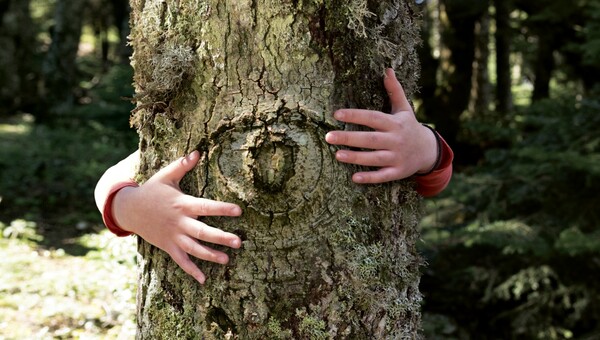 Το πρώτο «έξυπνο» δάσος στην Ελλάδα δίνει μια νέα «πνοή» ελπίδας για το περιβάλλον
