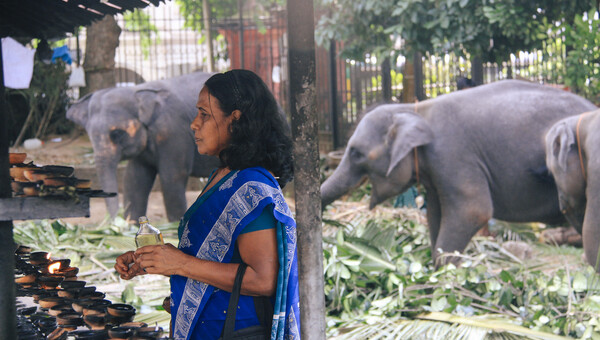 CHECK ΚΥΡΙΑΚΗ Σρι Λάνκα: Από το τσουνάμι του 2004 στην χρεοκοπία του 2022