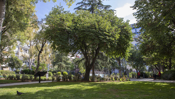 Η ΦΙΞ Ελλάς συνεχίζει να κάνει πιο «πράσινο» το κέντρο της Αθήνας