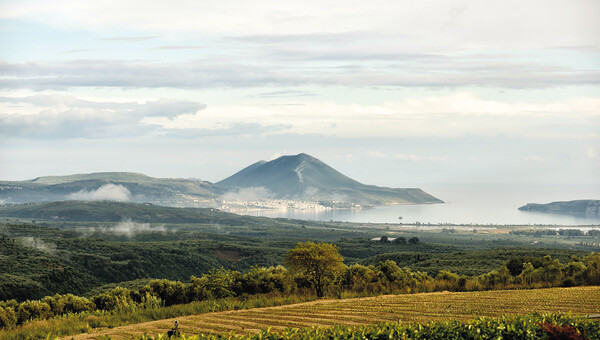 Messinia Terroirs
