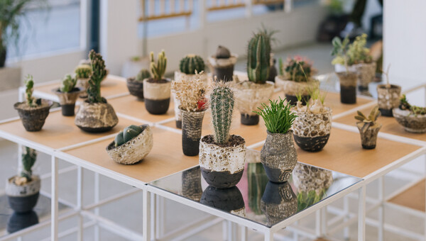 HOLIDAY MARKET @ NERAW