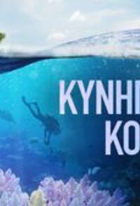 Κυνηγώντας κοράλλια