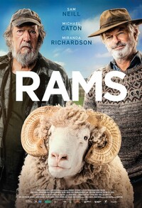 rams