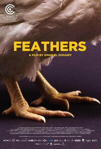 feathers