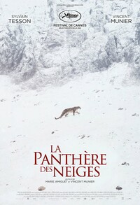 le pantheire de neiges