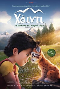 haidi