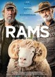 rams