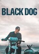 black dog