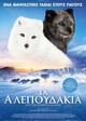 Κina & Yuk