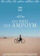 amrum