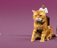 Νέο βίντεο από τον Tyler, the Creator