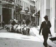 Παρουσίαση: "Ο Κίτσος ο λεβέντης και άλλες αγγελίες"