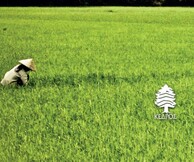 «Δημιουργοί εν πλώ» / Συναντήσεις λόγου και τέχνης/ β' κύκλος 2016- 17