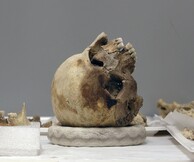 FFF5: Hikaru Fujii, The Primary Fact