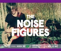 The Noise Figures