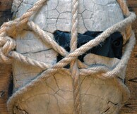 Μάριος Φούρναρης, Δεκατρία 