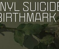 Vinyl Suicide + Birthmark Live 