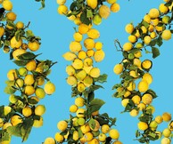 4th Athens Biennale