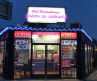 Civil Disobedience: Neon vs Nature