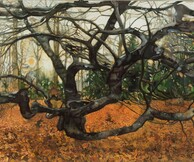 Ένας χρόνος, 4 εποχές