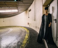 Δαμιανός Ζαρίφης, Ο παλμός του σχεδίου