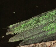 ΚΑΤΕΡΙΝΑ ΜΕΡΤΖΑΝΗ