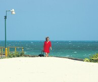 ΝΤΑΓΚ ΑΪΤΚΕΝ - ΜΑΥΡΟΣ ΚΑΘΡΕΦΤΗΣ