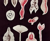 Silvina Der Meguerditchian, Please! Material and Immaterial Call
