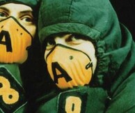 ALTERN-8
