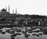 ARA GULER