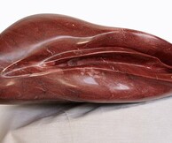 Ilirian Shima, Εξομολόγηση