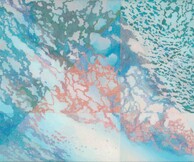 “ Μια κίνηση απ’ το όνειρο.. ” & "Double Reflections"