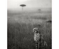 6 Έλληνες, 6 Τόποι: μία έκθεση φωτογραφίας