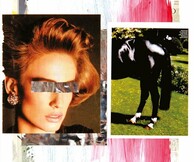 Helmut Middendorf: Observer