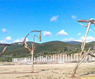  Θώρακες, άλογα και άνθη