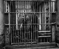 Γιάννης Πάλλας, Fractions