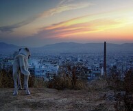 Αστυγραφία