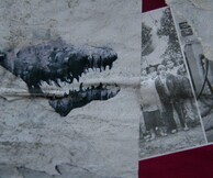 Δημήτρης Φαντάκης, «Μαχαιροβγάλτης και χρόνος»