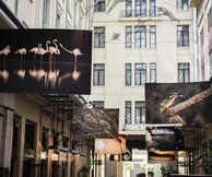 Μια μέρα στη λιμνοθάλασσα