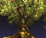 Η ζωή του κύριου Δεντρούλη 